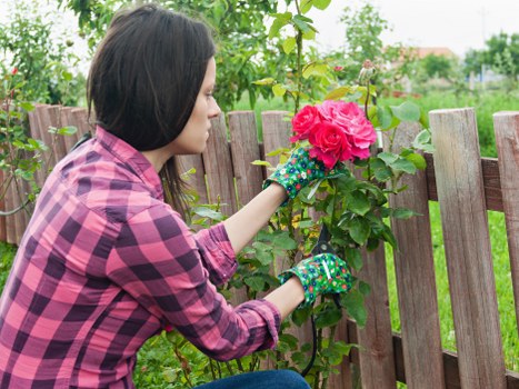 Gardener working on a front garden in East Ham